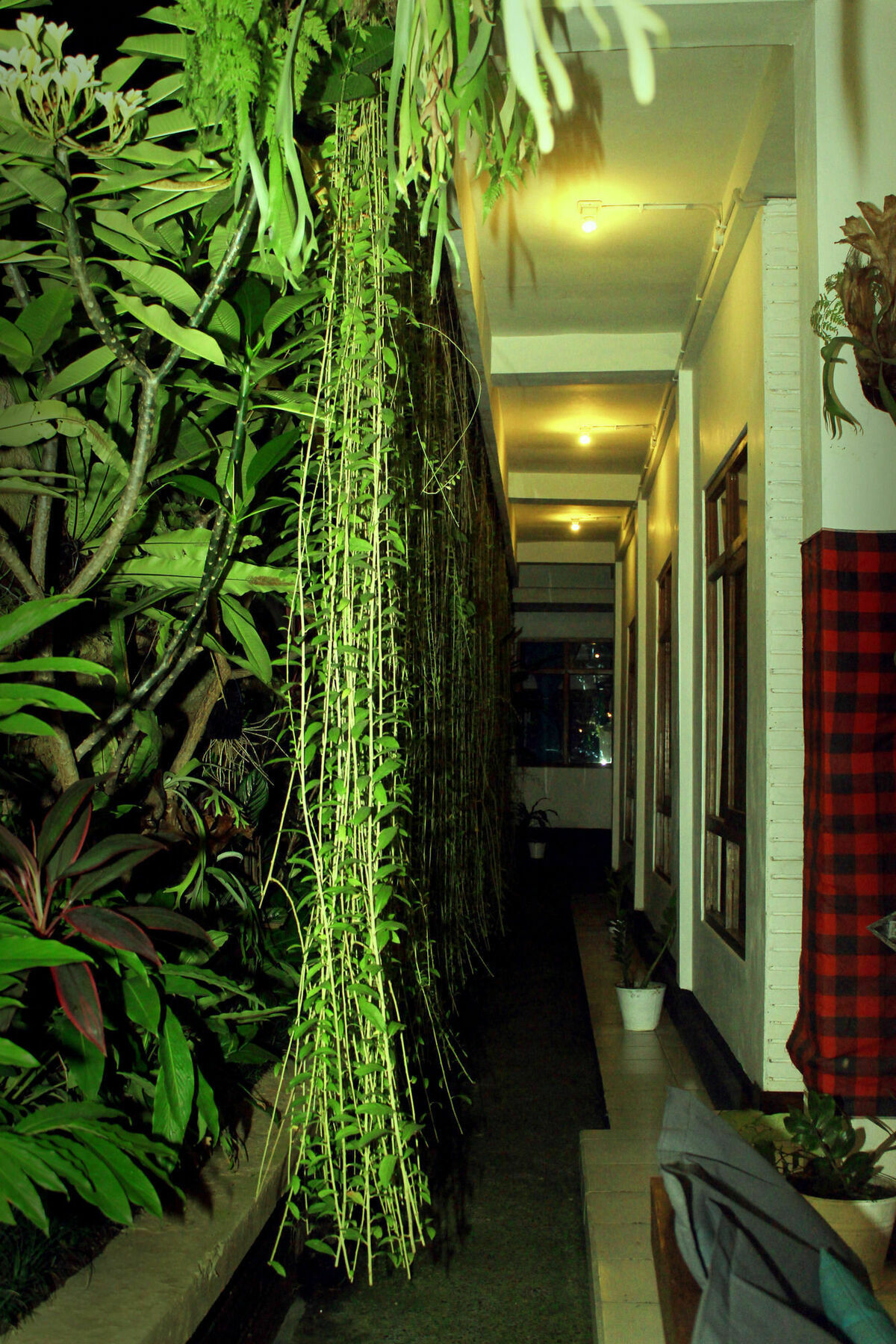 Friendly House Bali Hostel Ουμπούντ Εξωτερικό φωτογραφία